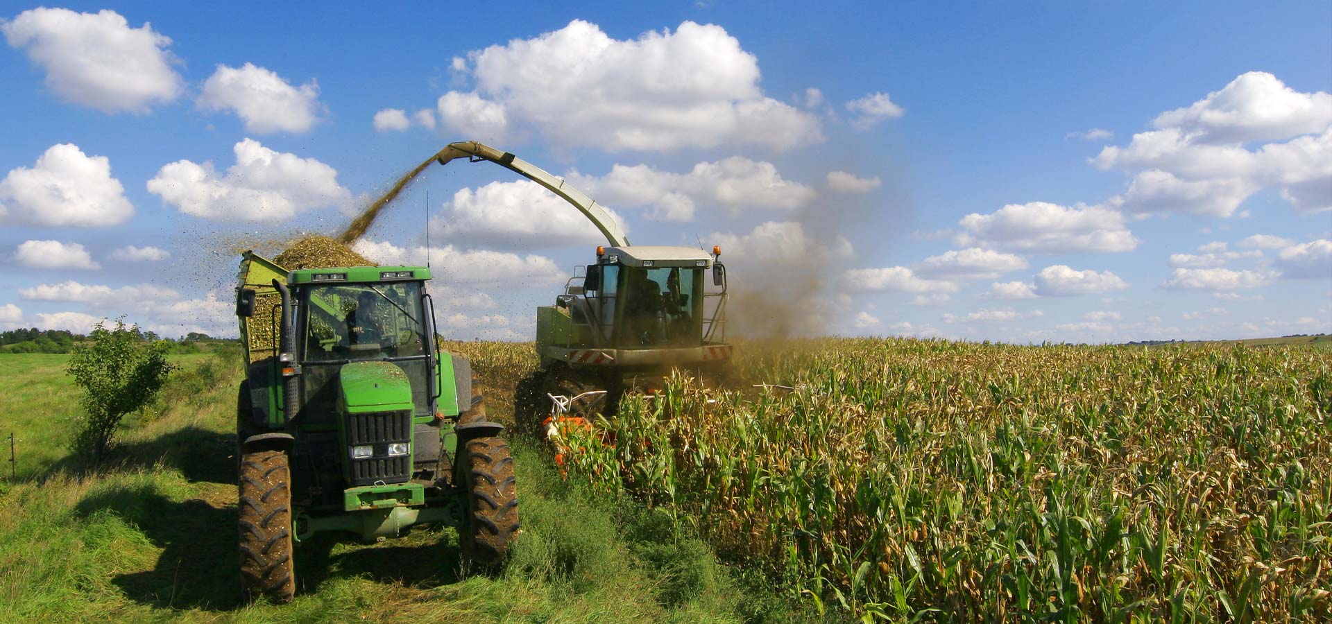 Tractors in a Corn Field